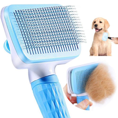Pet Supplies